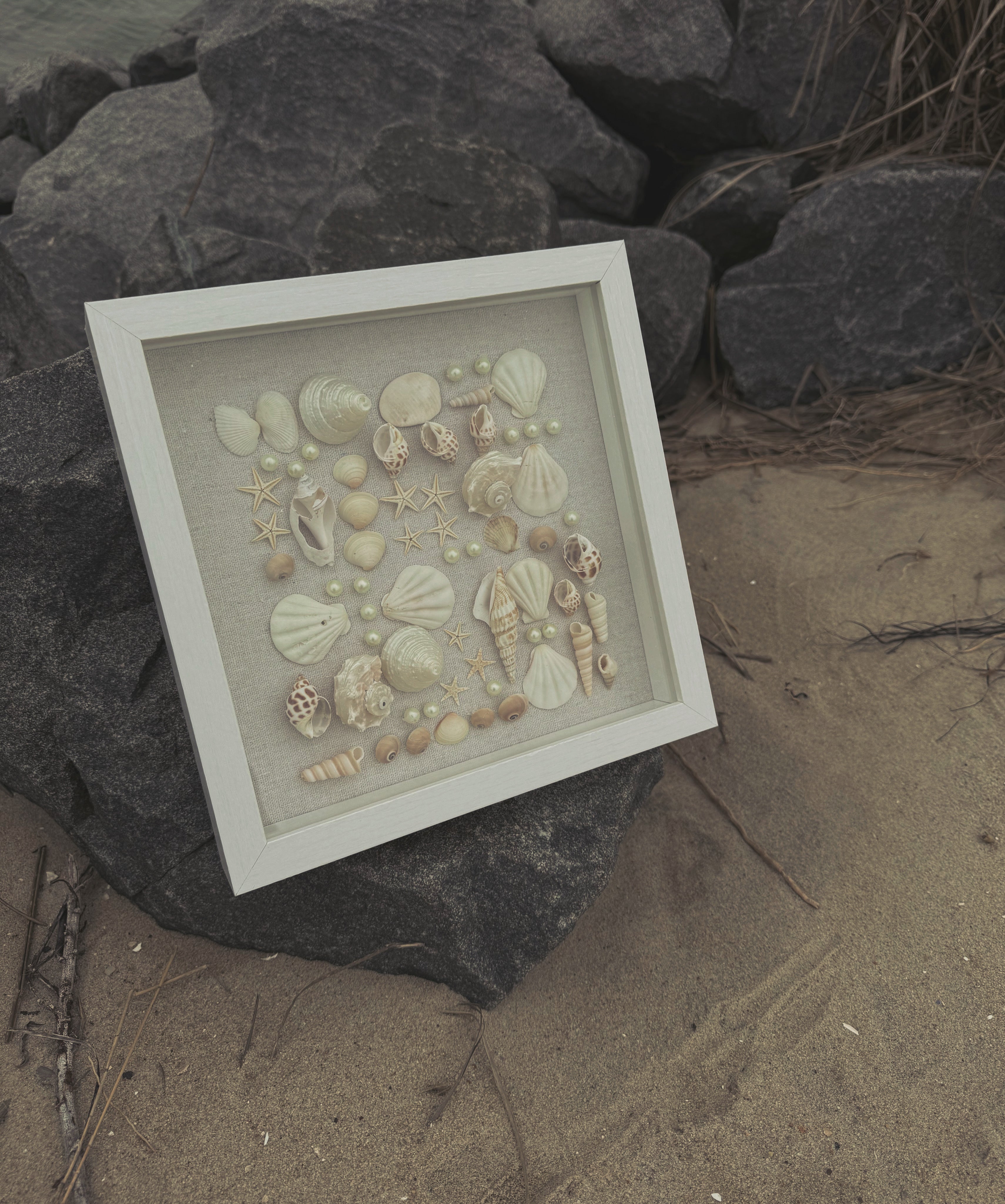 Kara Shell Shadow Box (medium)