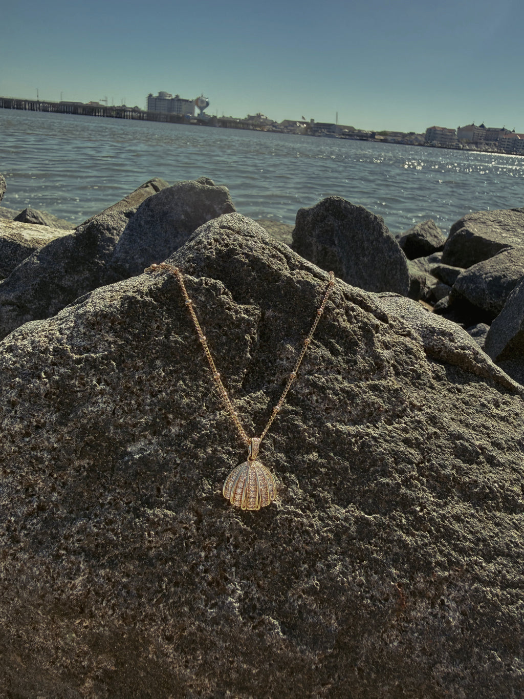 Seashell Necklace
