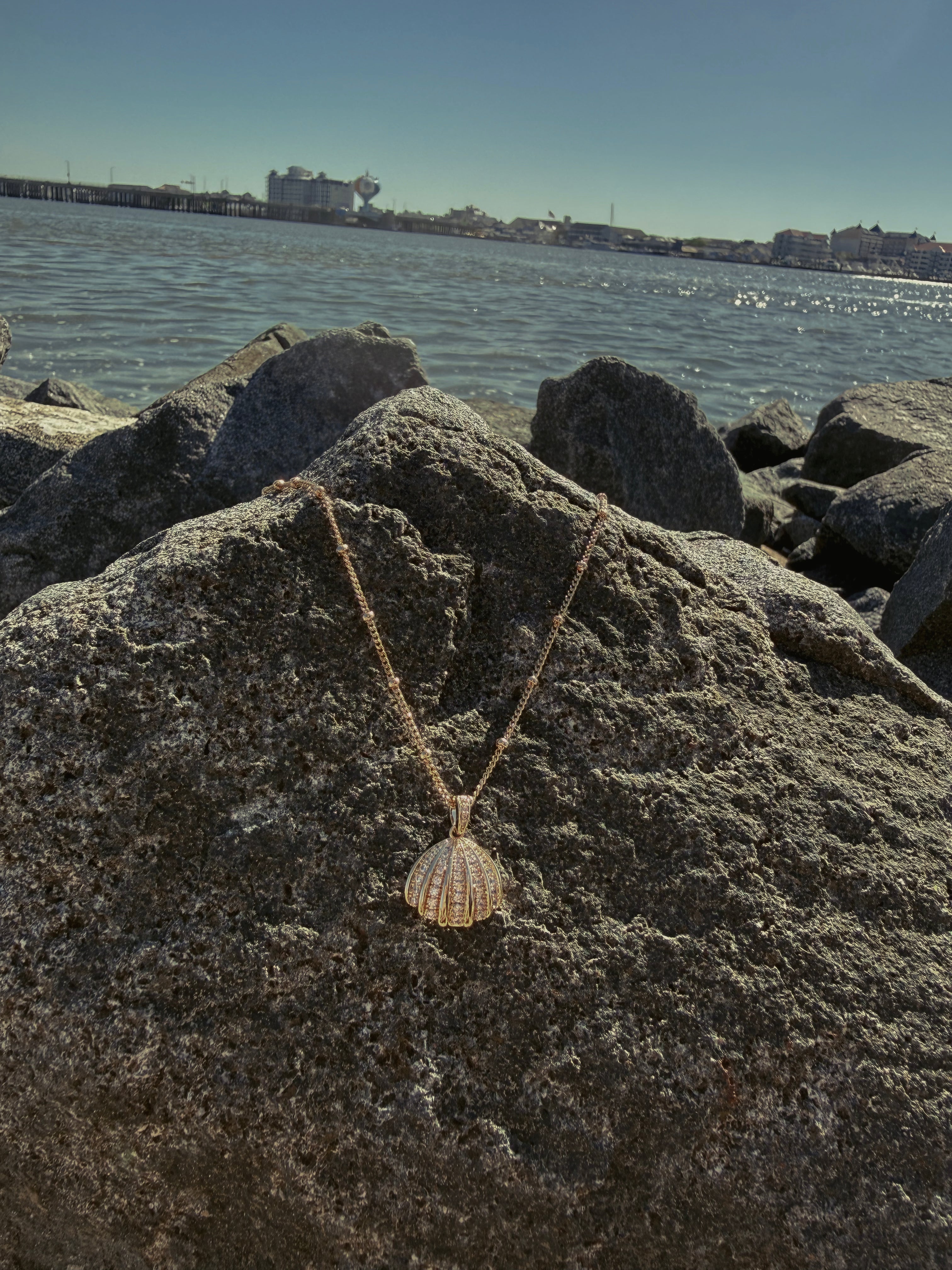 Seashell Necklace
